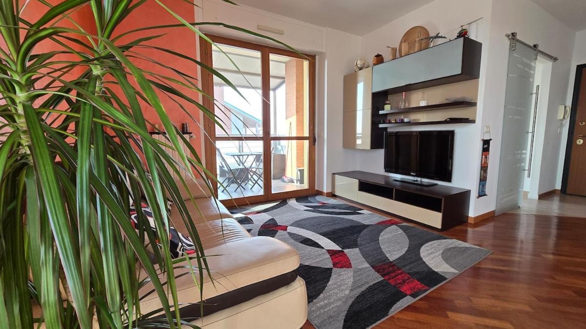 Steo's Place In Torino